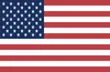 US flag for Inspection Services in English